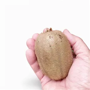 میوه کیوی محلی و تازه