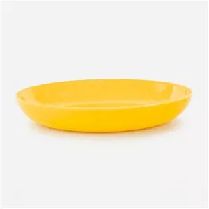 ظرف سرو مرغخوری کد 701، فرم بیضی، جنس ملامین، مناسب سرو مرغ و استیک، ابعاد 28×20 سانتیمتر، مناسب مایکروویو، شستشو با