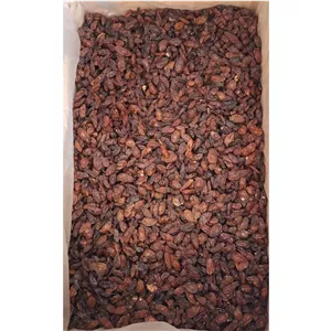 کشمش آفتابی آبگیری کاشمر درجه 1 20 کیلویی (برداشت 1405)