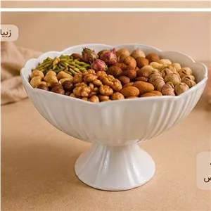 کاسه پایدار هما