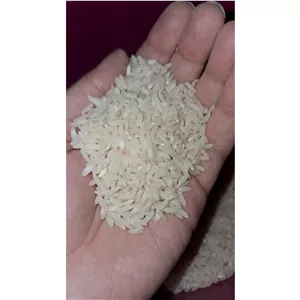 برنج فریدونکنار برنج طارم هاشمی فریدونکنار
