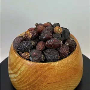 میوه نسترن