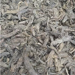 سنبل الطیب
