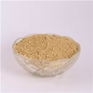 پودر زنجبیل 100 گرم