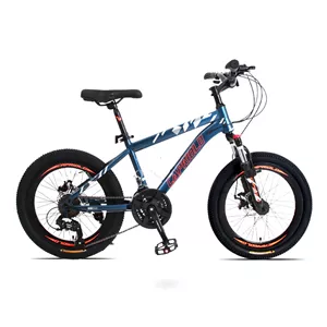 دوچرخه کاپریولو مدل جردن سایز 20 (Capriolo Jordan)