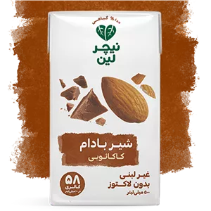  شیر بادام شکلاتی نیچرلین- 500 میلی لیتر