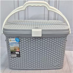 سبد پیک نیک متوسط اکسون (پس کرایه)