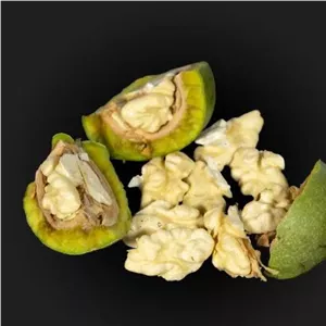 گردوی تازه با پوست سبز مراغه