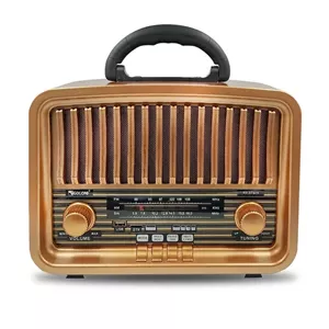 رادیو اسپیکر FM، AM، SW گولون مدل RX-BT929 دارای پورت USB WSN