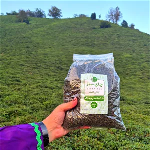 چای سبز ارگانیک شکسته لاهیجان 500 گرم