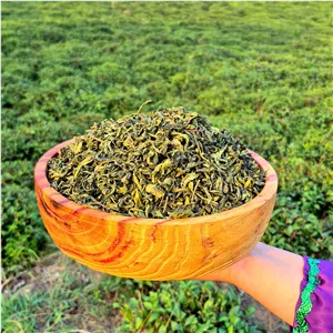 چای سبز ارگانیک قلم بهاره 1 کیلوگرم