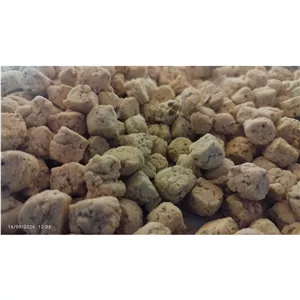 حاجی بادام سنتی اصلی