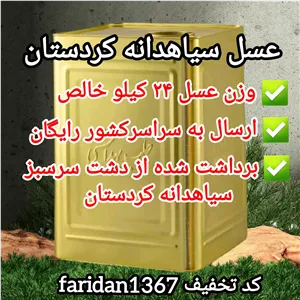 عسل سیاهدانه کردستان فله حلب 25 کیلویی دشتی کوهستانی اصل(ارسال رایگان)