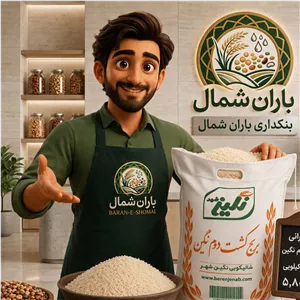  برنج کشت دوم نگین