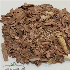 جفت بلوط 1 کیلویی (پسکرایه)