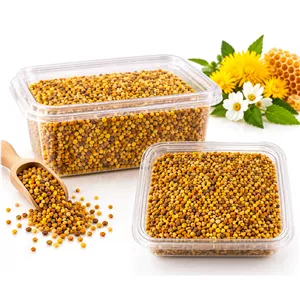 گرده گل تولید زنبور عسل 