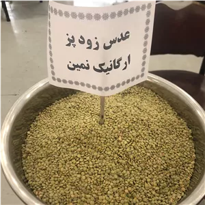 عدس زود پز ارگانیک نمین در بسته بندی 1 کیلویی