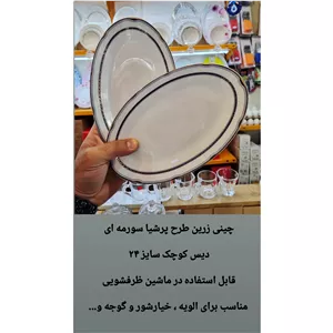 دیس سایز 24 چینی زرین 