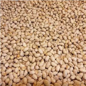 سویا آجیلی ترد و درجه یک 250 گرم