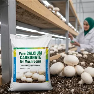 کربنات کلسیم مخصوص پرورش قارچ 25 کیلویی (پس کرایه)