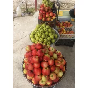انواع سیب سبز و قرمز استخوانی