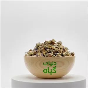 گل گندم