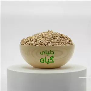 نخود ارگانیک دیم