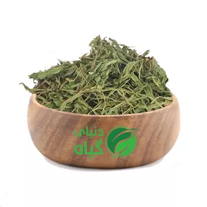 برگ کاسنی