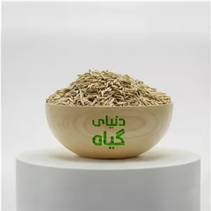 جو دوسر