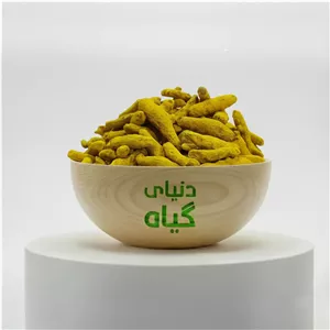 زردچوبه قلم 