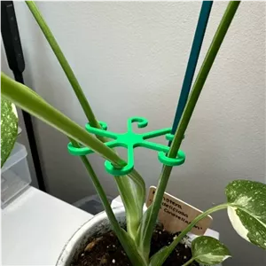 نگهدارنده شاخه گیاه