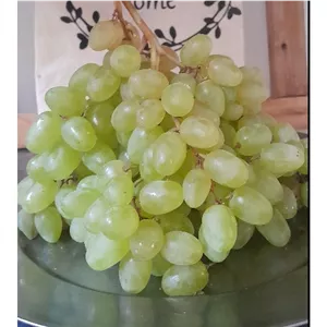 انگور عسگری و قرمز