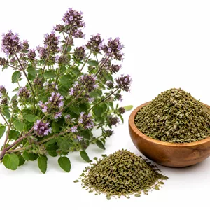 گیاه پونه کوهی