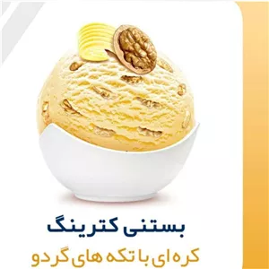بستنی کترینگ کره ایی با تکه های گردو