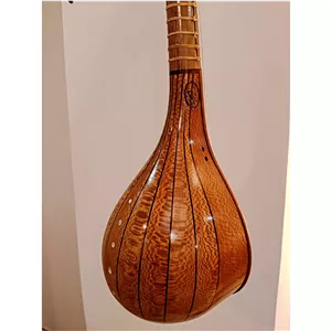 سه تار رضایی کاسه چنار 
