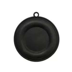 دیافراگم آبگرمکن بوتان مدل B15 Yun