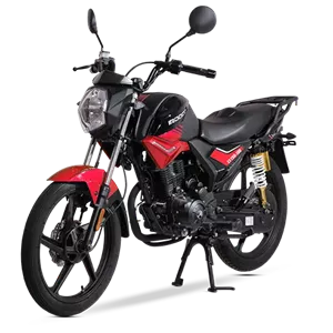 موتور سیکلت DS 200
