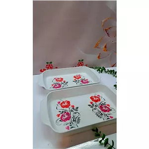 دیس مرغ خوری ملامین جفتی