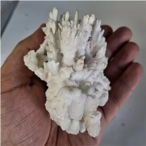 سنگ اراگونیت سفید کمیاب