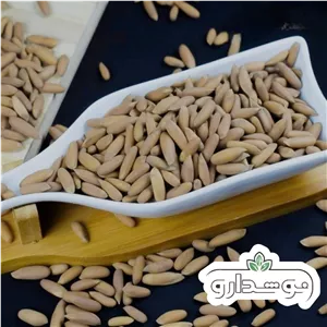 چلغوزه (جلغوزه) 1 کیلویی (ارسال رایگان)