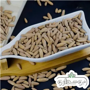 چلغوزه (جلغوزه) 100 گرمی (پسکرایه)