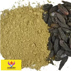 پودر هلیله سیاه یک کیلو مشرق زمین