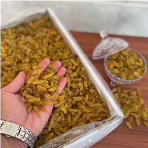 کشمش زرد طلایی درجه دو
