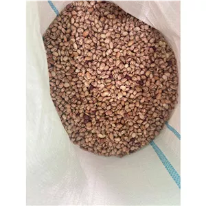لوبیا چیتی ممتاز وارداتی به قیمت عمده