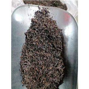 چای لاهیجان