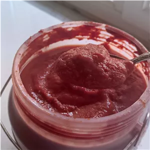 رب گوجه فرنگی خانگی هلین