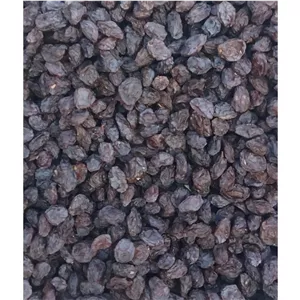 مویز گوشتی قرمز آفتابی کوهی بدون چوب ارگانیک یک کیلویی.توجه این قیمت درست نمی باشد جهت اطلاعات بیشتر پیام دهید.