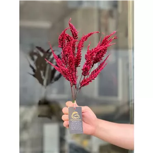 بوته خرج کار لوندر وارداتی زرشکی