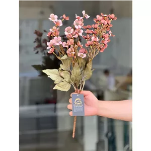 بوته زنبوری گلدار وارداتی کد3