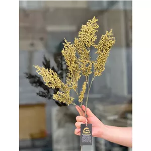 بوته خرج کار وارداتی شاخه بلند تم سبز